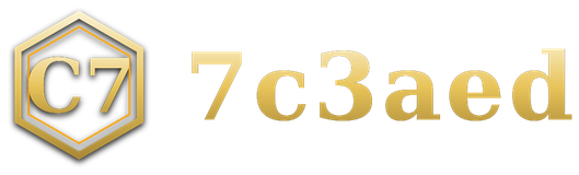 7c3aed logo